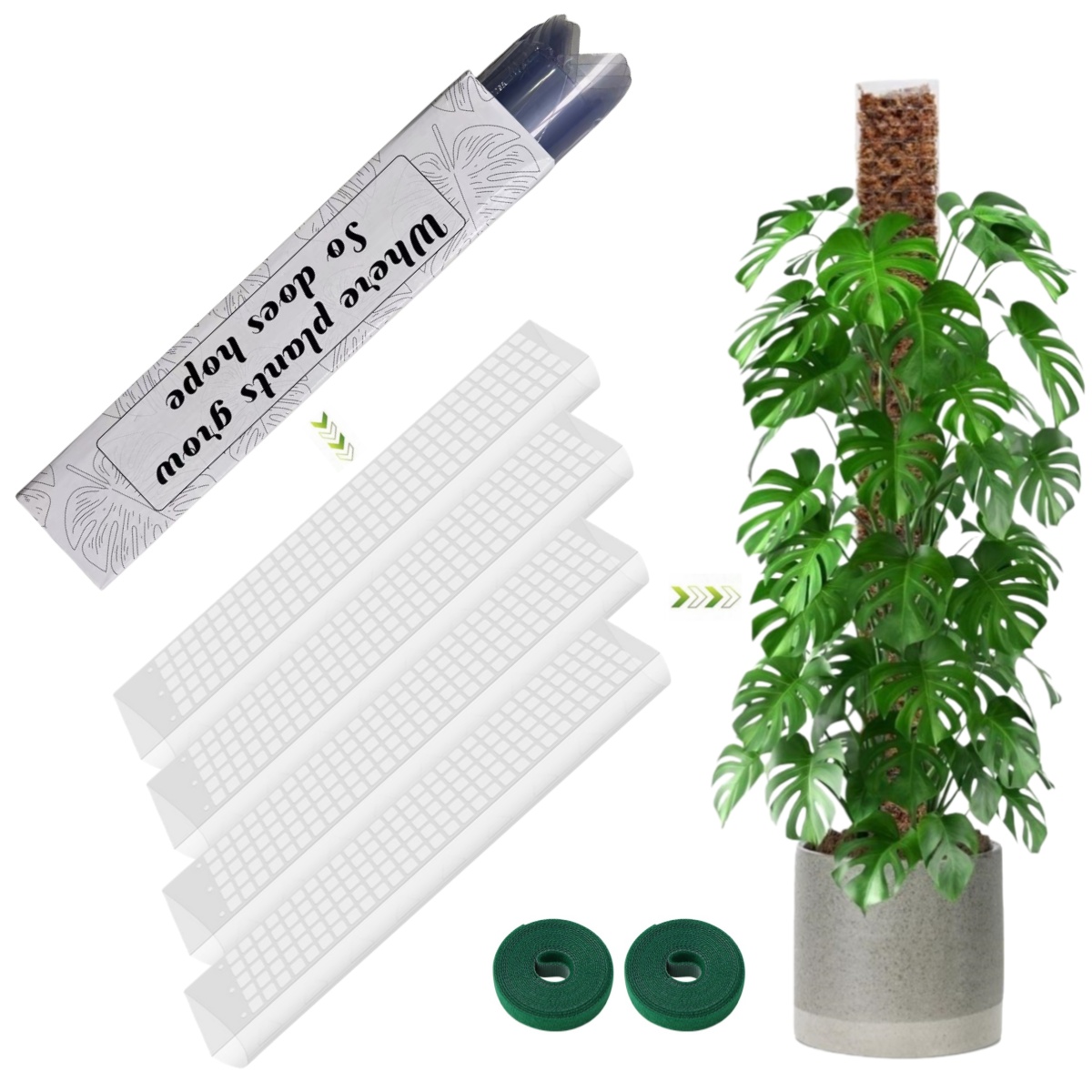 Sphagnum Moss Dry - Moss Pole Plastic Plant Stand Indoor