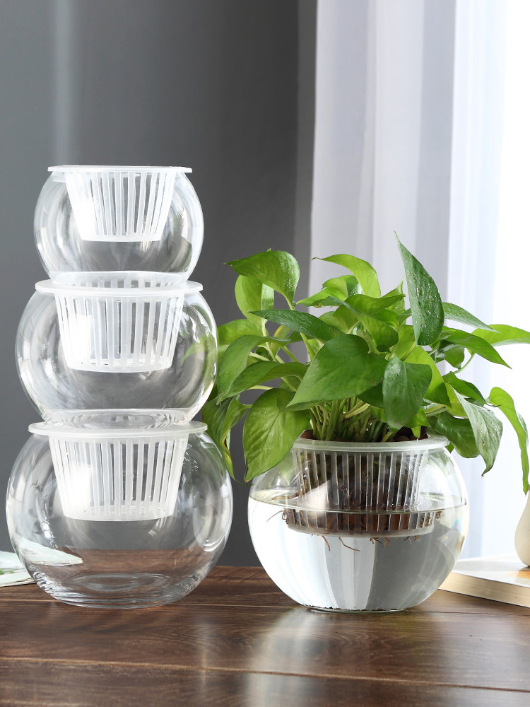 Propagation Station Vase - Hydroponic Glass Vase Glass Green Dill