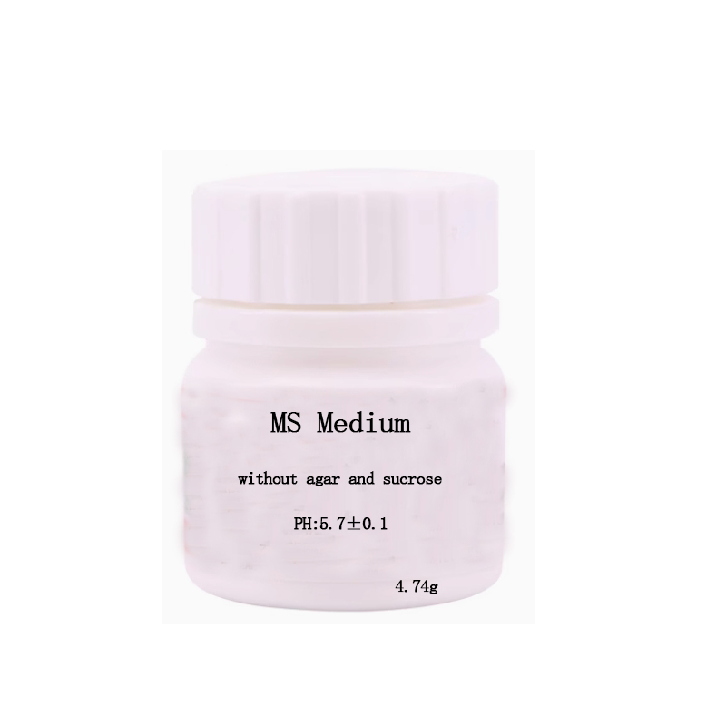 MS Medium Without Agar Or Sucr - Agar Tissue Culture ulasan dan harga