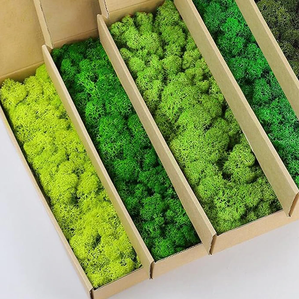 20-200g Artificial Green Plant - Sphagnum Moss Dry ulasan dan harga