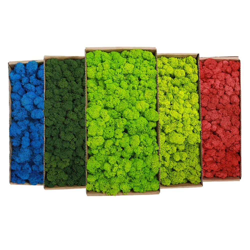 20-200g Artificial Green Plant - Sphagnum Moss Dry ulasan dan harga