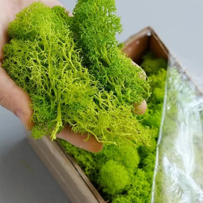 20-200g Artificial Green Plant - Sphagnum Moss Dry ulasan dan harga