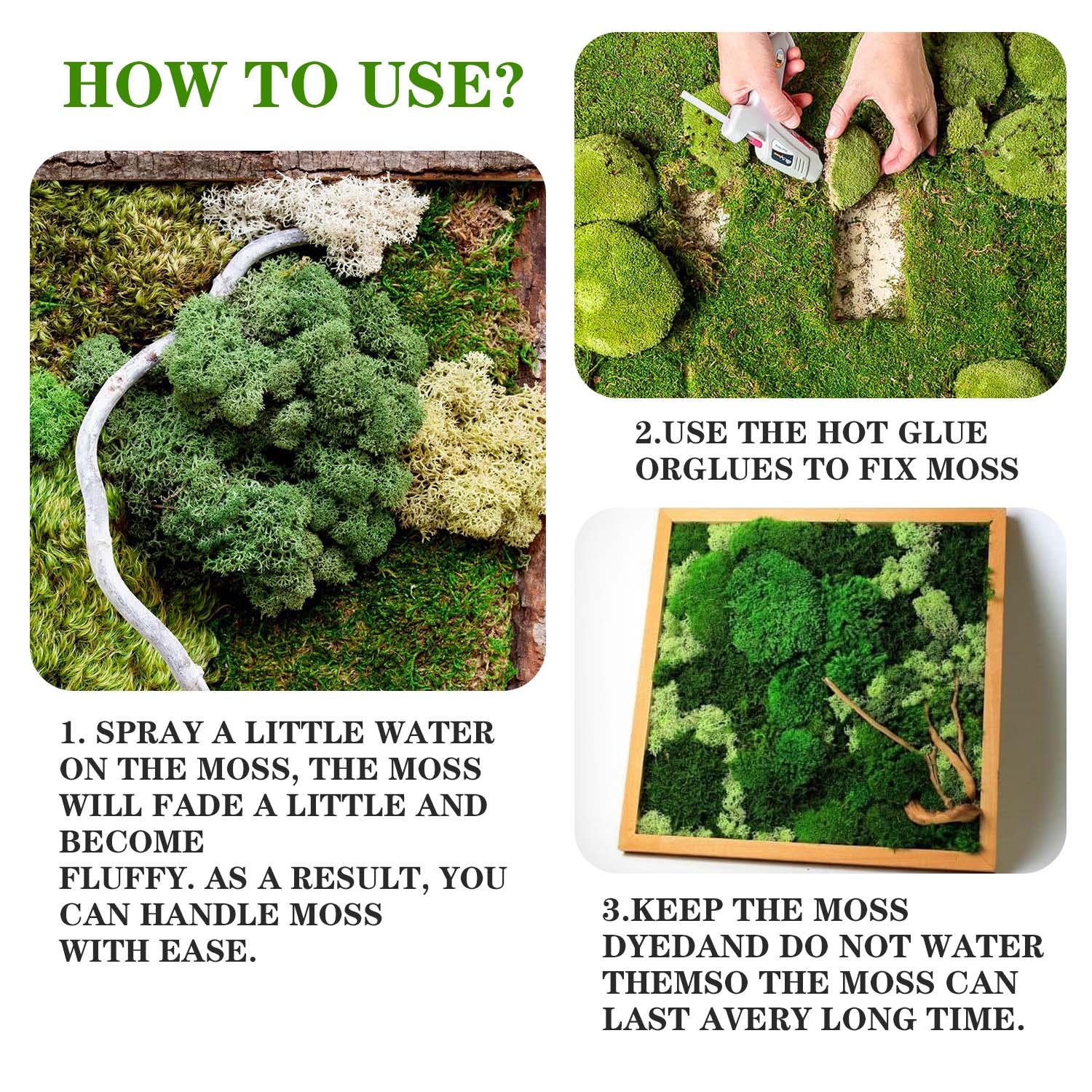 Artificial Green Plants Eterna - Sphagnum Moss Dry ulasan dan harga