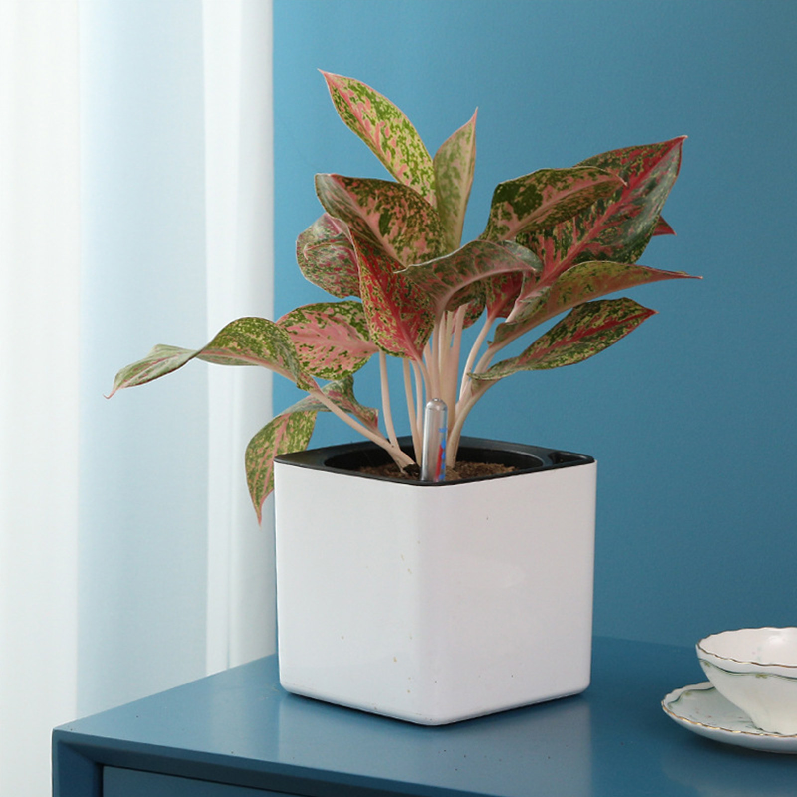 3 size Lazy flowerpot Green Pl - Self Watering Insert ulasan dan harga