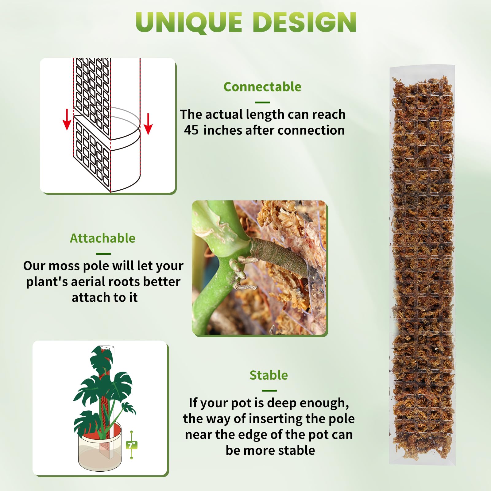 24/36/48Inch Climbing Plant Wa - Sphagnum Moss Dry ulasan dan harga