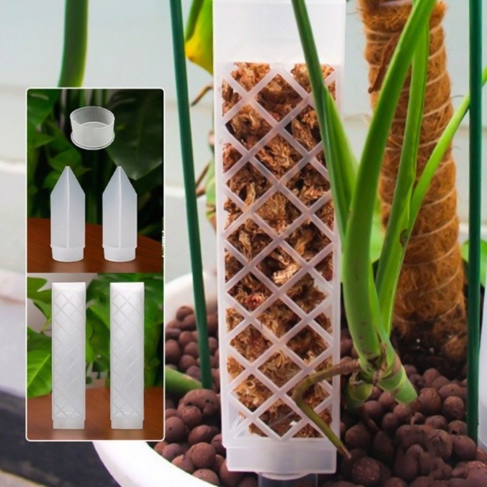 D-Shaped Self-Watering Plant D - Sphagnum Moss Dry ulasan dan harga