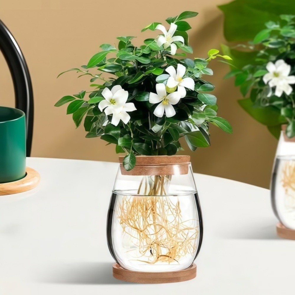 Transparent Hydroponic Flowerp - Propagation Station Vase ulasan dan harga