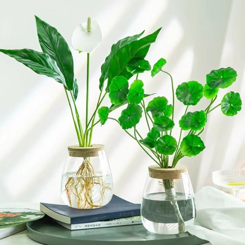 Transparent Hydroponic Flowerp - Propagation Station Vase ulasan dan harga