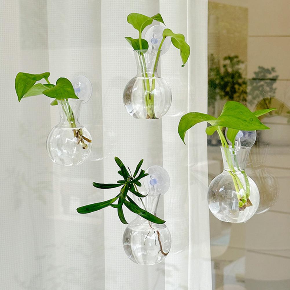 Window Planter Vase Window Pla - Propagation Station Vase ulasan dan harga