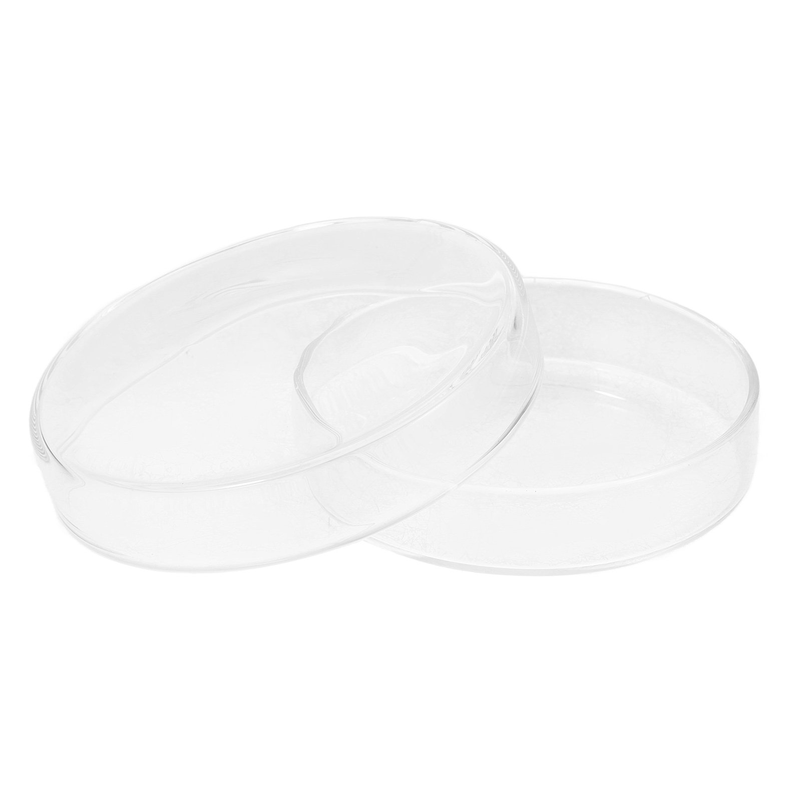 High Borosilicate Glass Petri  - Agar Tissue Culture ulasan dan harga