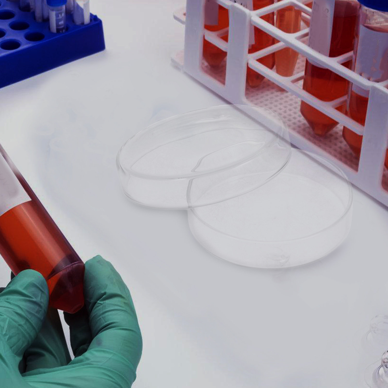 High Borosilicate Glass Petri  - Agar Tissue Culture ulasan dan harga