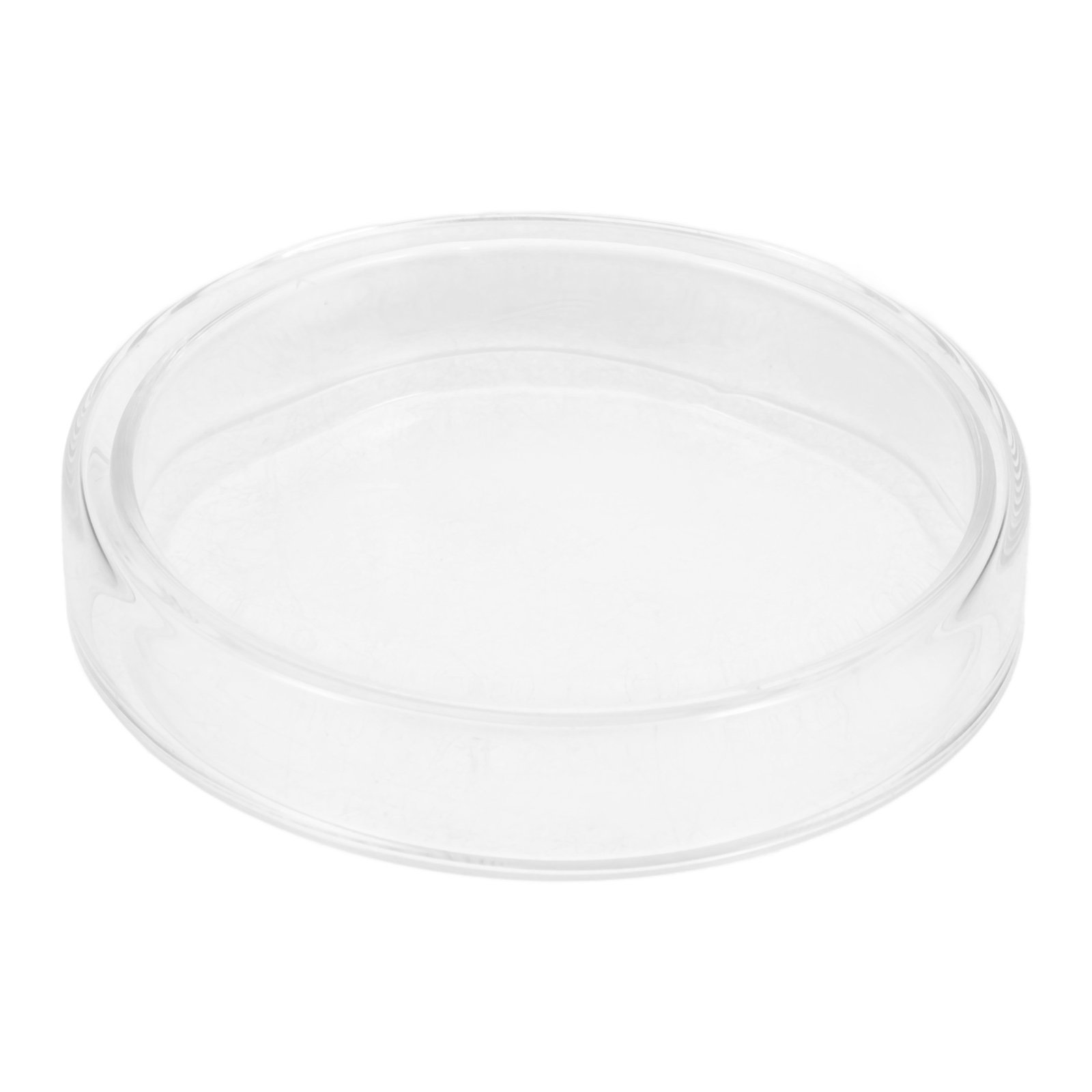 High Borosilicate Glass Petri  - Agar Tissue Culture ulasan dan harga