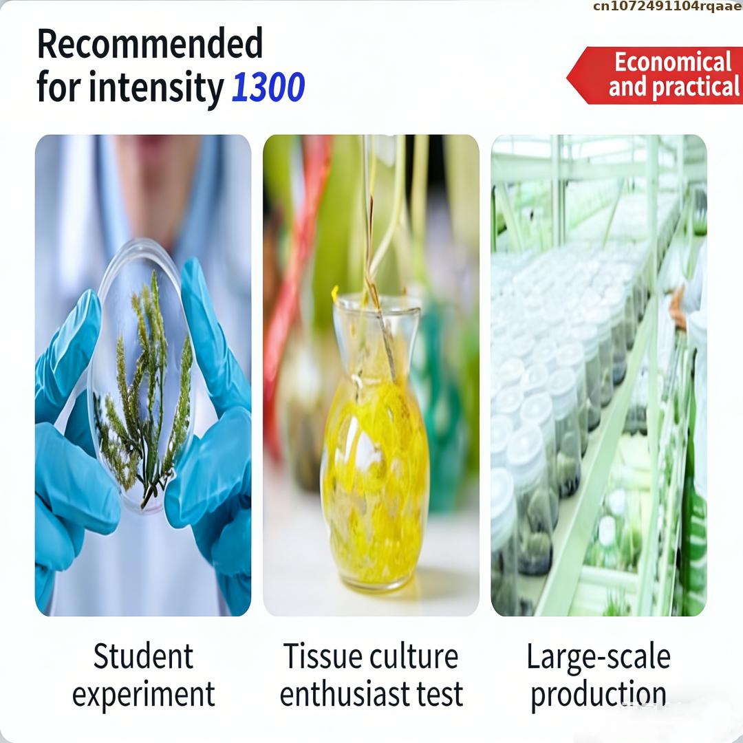 Premium Plant Tissue Culture A - Agar Tissue Culture ulasan dan harga