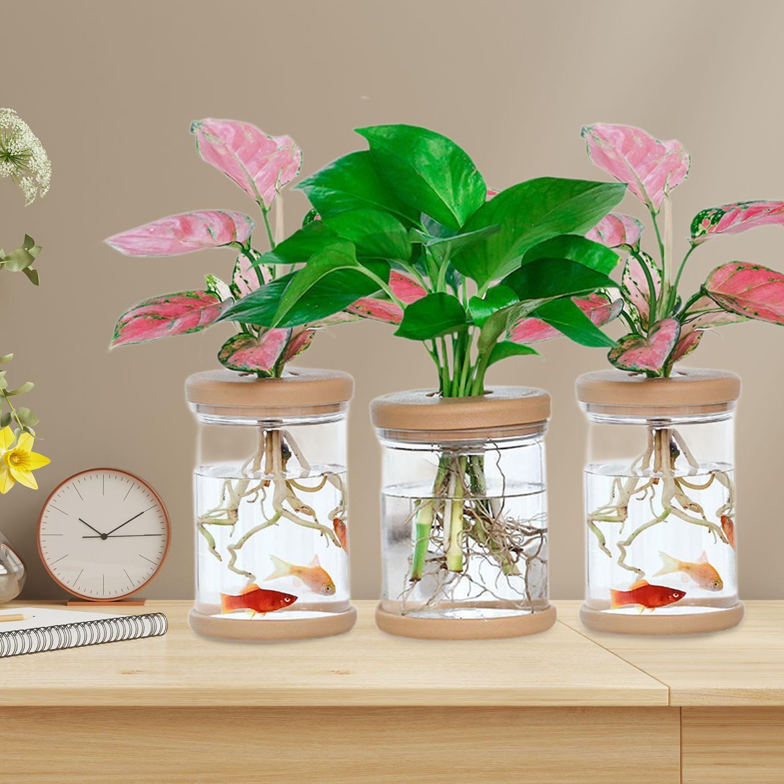 3Pcs Hydroponics Flower Vases  - Propagation Station Vase ulasan dan harga