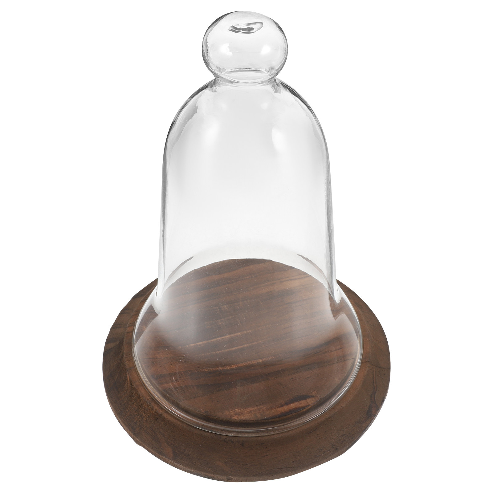 Glass Dome Display Cover High  - Plastic Dome Clear ulasan dan harga