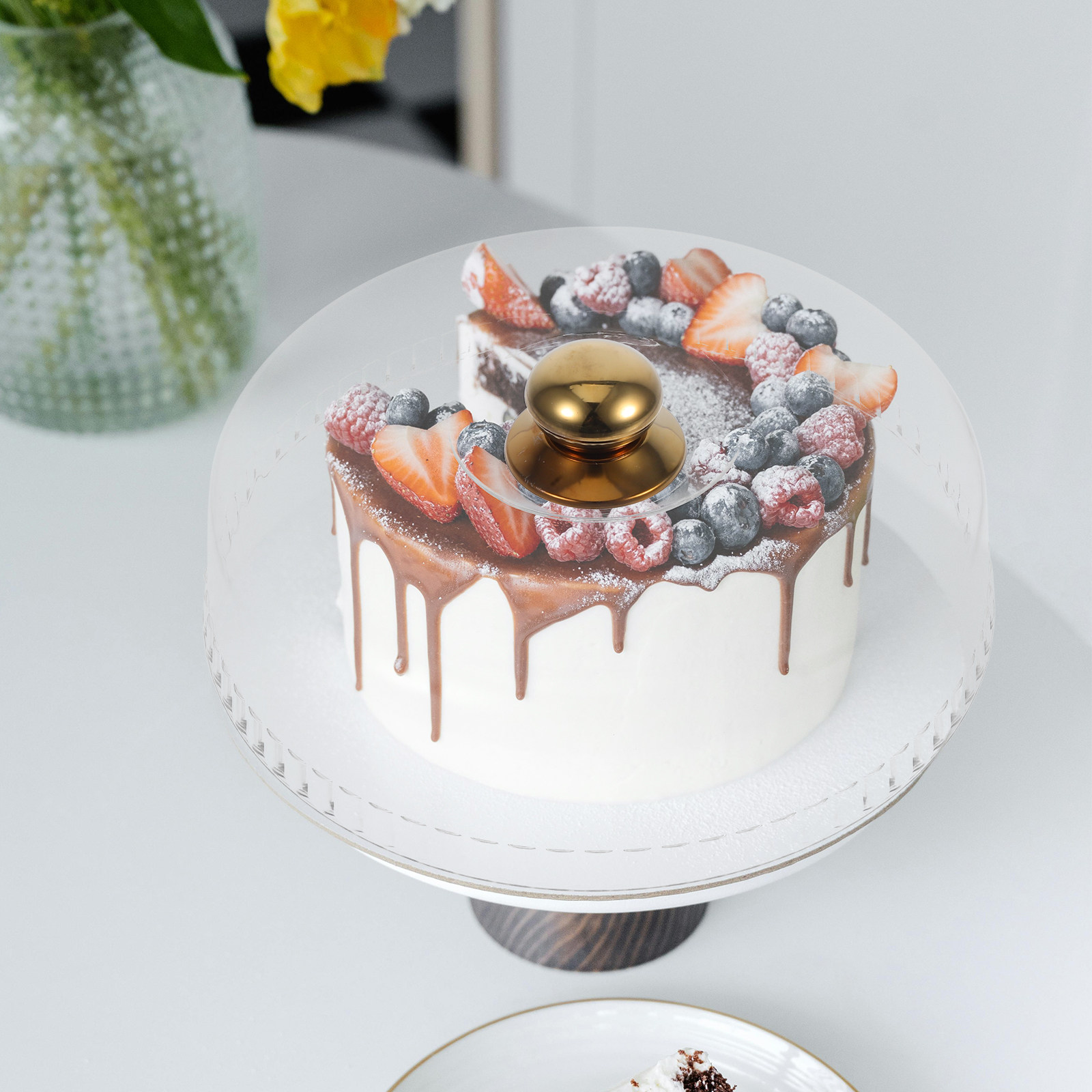 30Cm Clear Acrylic Cake Dome C - Plastic Dome Clear ulasan dan harga
