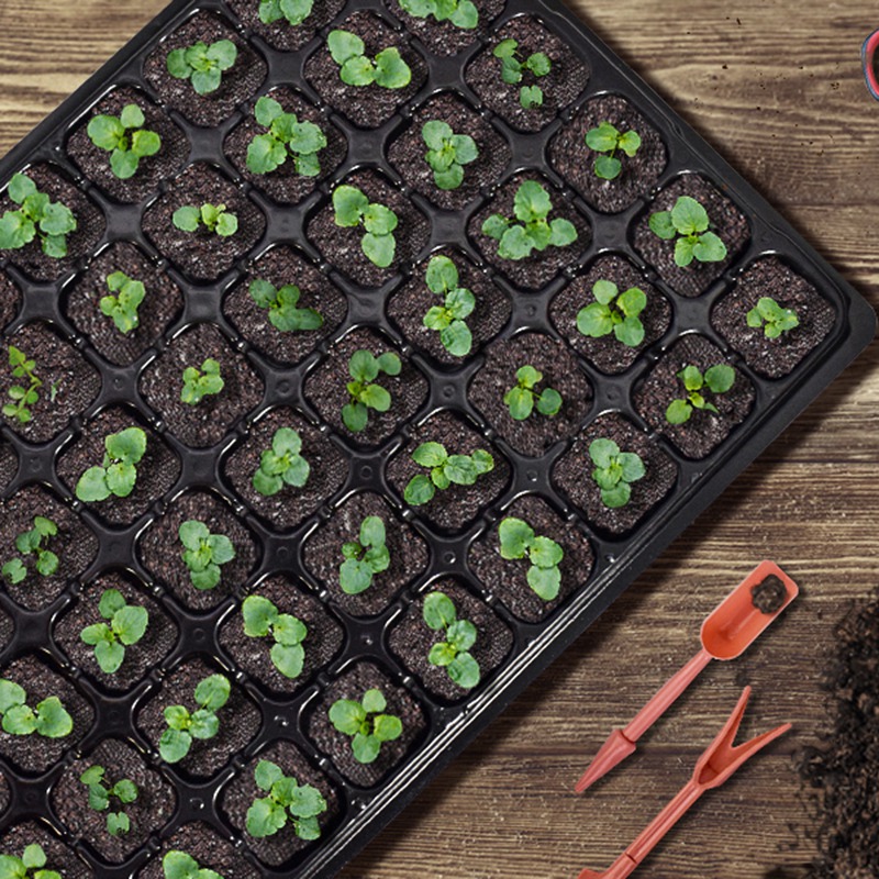 ABGH-10 Pack Seed Starter Tray - Propagation Tray 72 ulasan dan harga