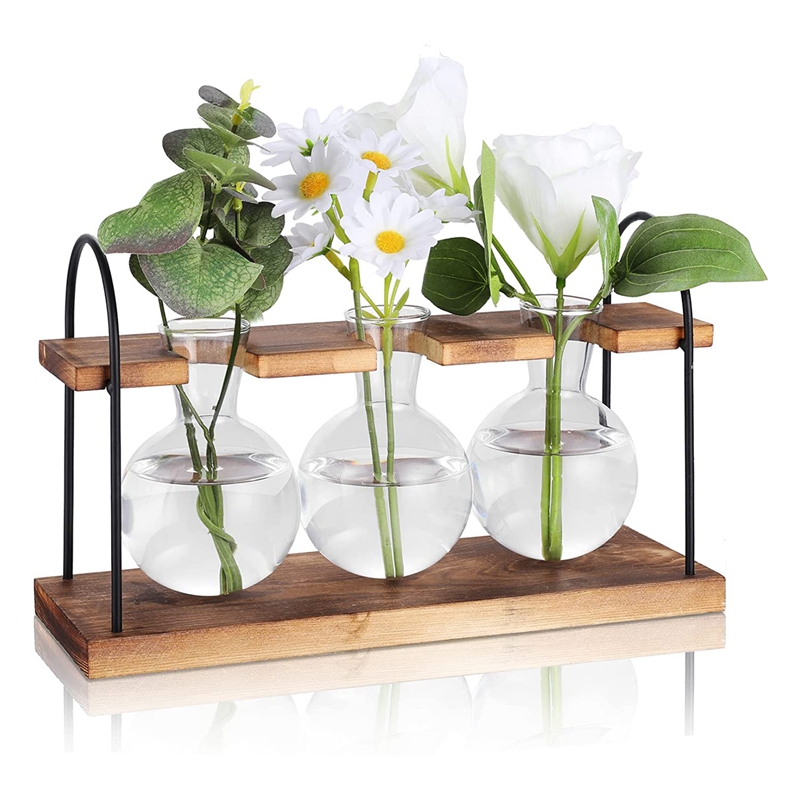 Plant Propagation Station with - Propagation Station Vase ulasan dan harga