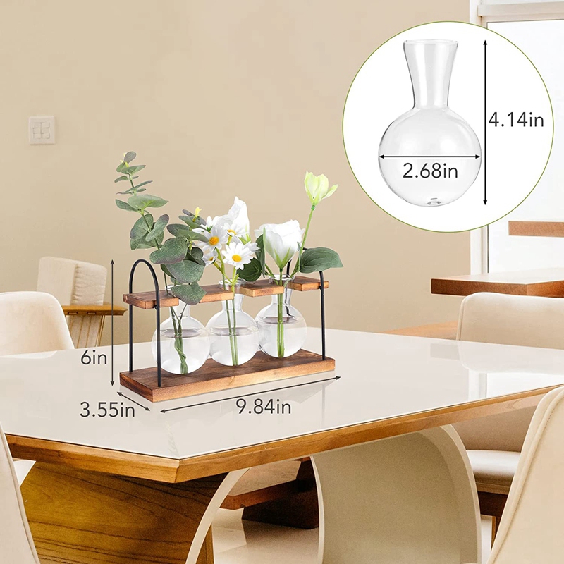 Plant Propagation Station with - Propagation Station Vase ulasan dan harga