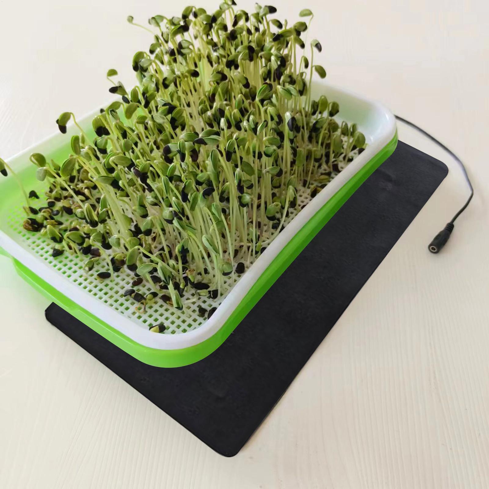8.5W Seedling Heat Mat 5V 2A P - Heat Mat Seedling ulasan dan harga
