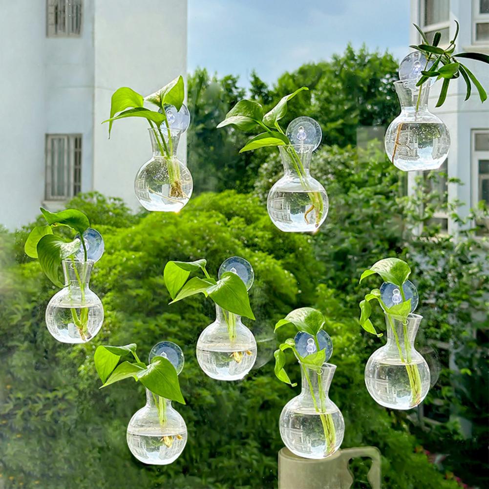 1/2/3/4/6/8Pcs Plant Propagati - Propagation Station Vase ulasan dan harga