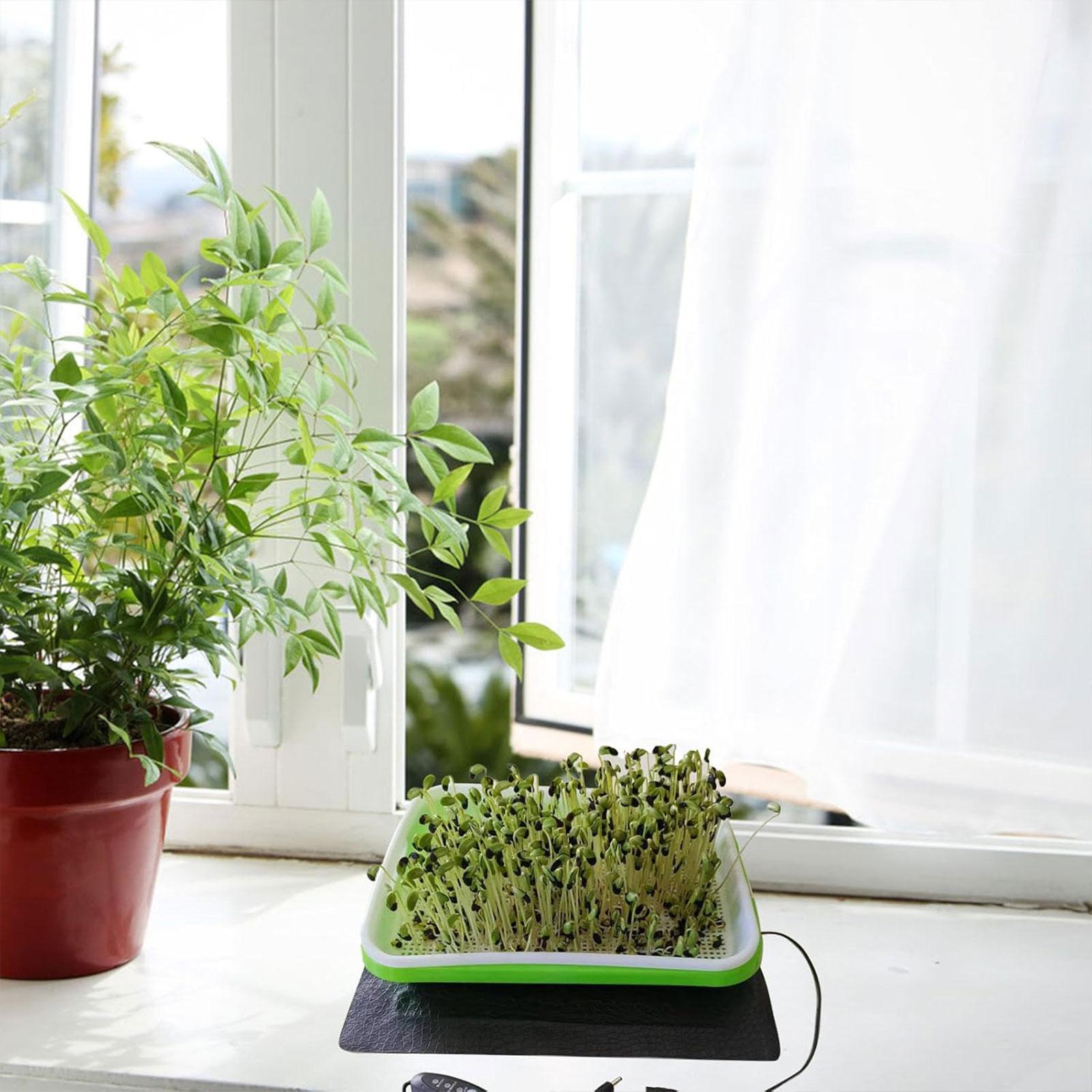 Hydroponic Heat Mat for Seedli - Heat Mat Seedling ulasan dan harga
