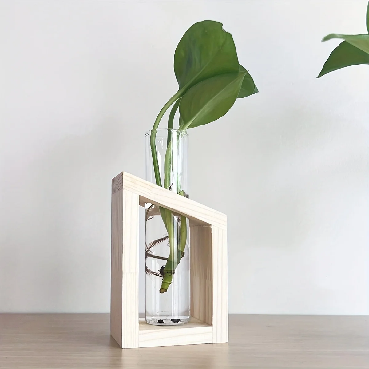 Test Tube Glass Vase Plant Pro - Propagation Station Vase ulasan dan harga