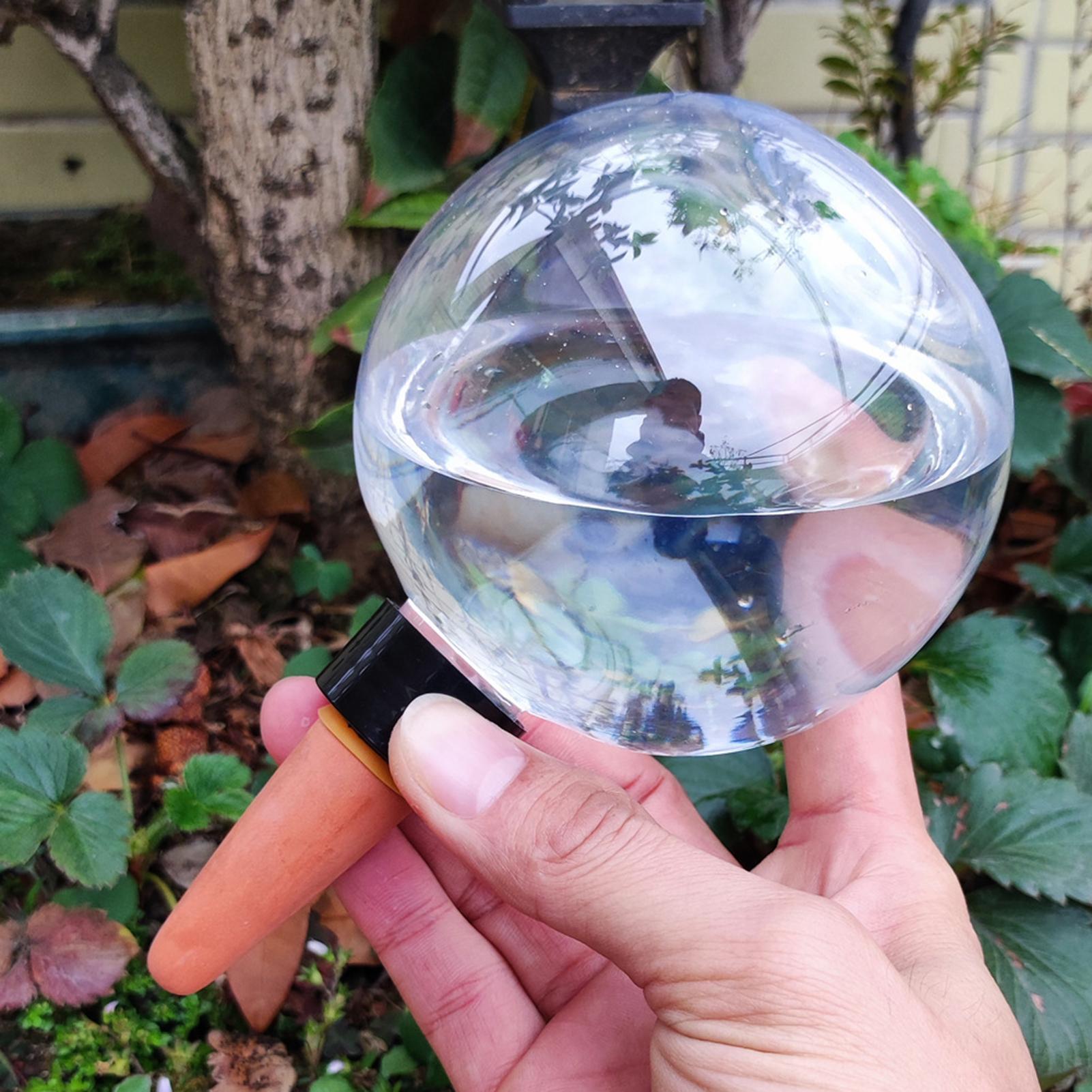 500ml Automatic Plant Watering - Self Watering Insert ulasan dan harga