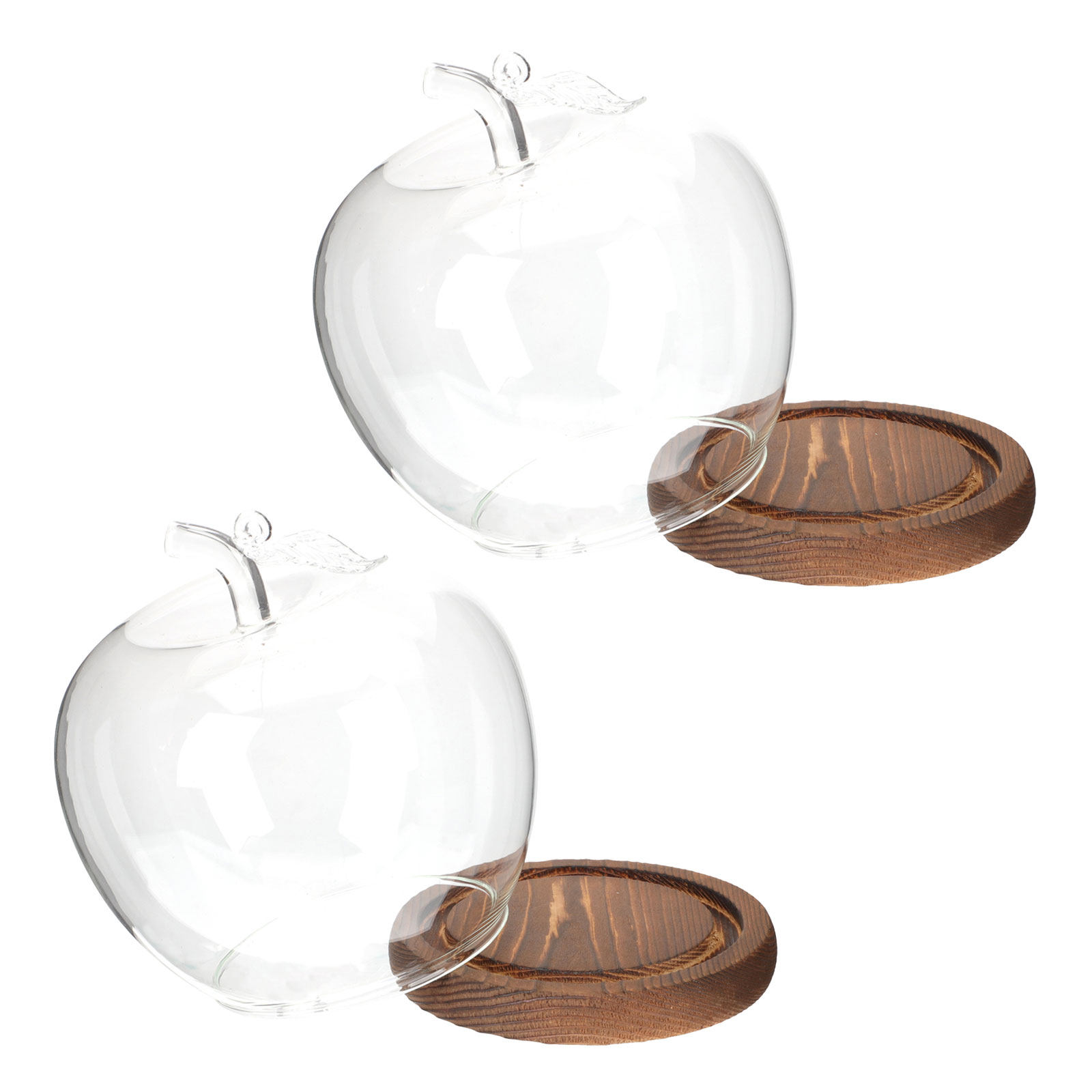 2Pcs Glass Cloche Dome with Wo - Plastic Dome Clear ulasan dan harga