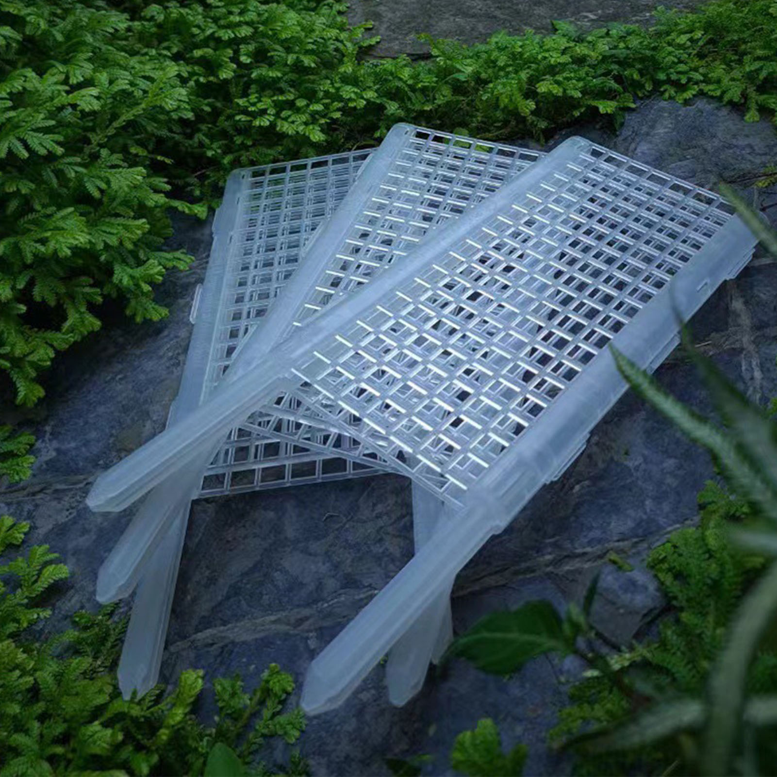 Plastic Plant Moss Pole 30x12c - Sphagnum Moss Dry ulasan dan harga