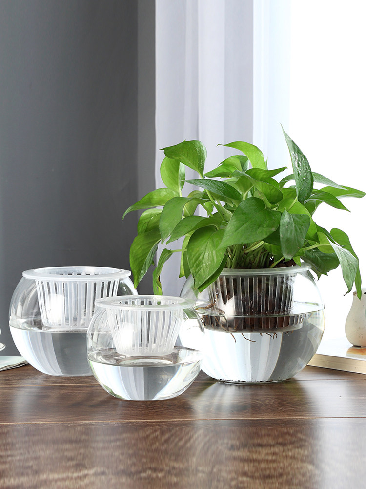 Hydroponic Glass Vase Glass Gr - Propagation Station Vase ulasan dan harga