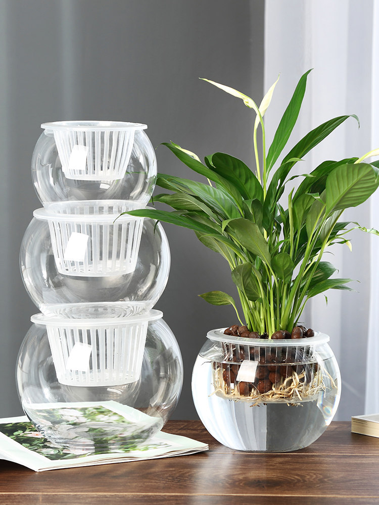 Hydroponic Glass Vase Glass Gr - Propagation Station Vase ulasan dan harga
