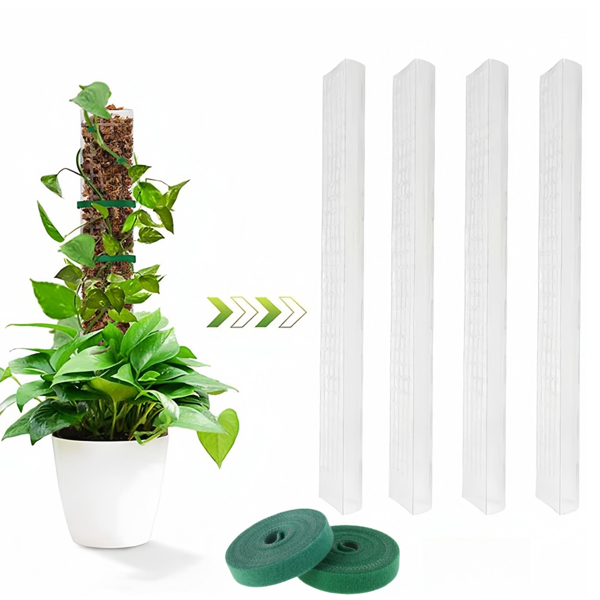 2/4/6Pcs Moss Pole Plastic Pla - Sphagnum Moss Dry ulasan dan harga